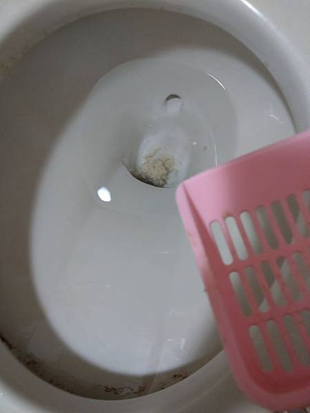 IMAG4483.jpg 試用
