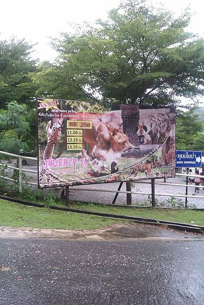 綠山動物園天性秀