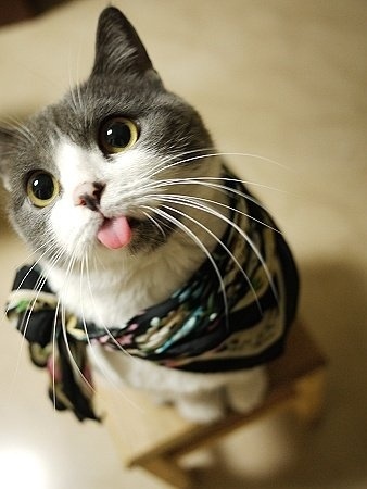 8a7de1f3jw1dqzd5giosvj 8a7de1f3jw1dqzd5giosvj