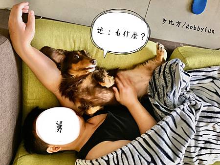 表情、動作搞笑的臘腸迷迷