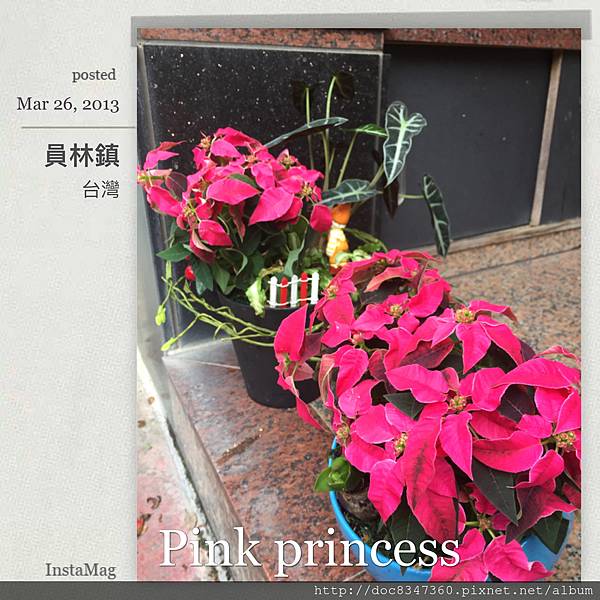 相片 2016-11-28 下午3 36 15.jpg 相片 2016-11-28 下午3 36 15.jpg