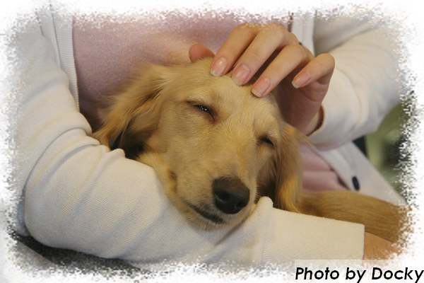 請不要停止妳的手^^