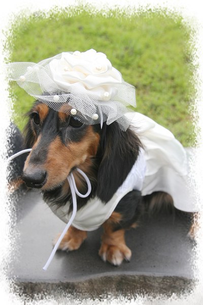 奧黛莉赫lu出現!!!!