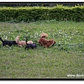 IMG_5567_nEO_IMG.jpg