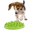 green_mini_puppy_v05.jpg