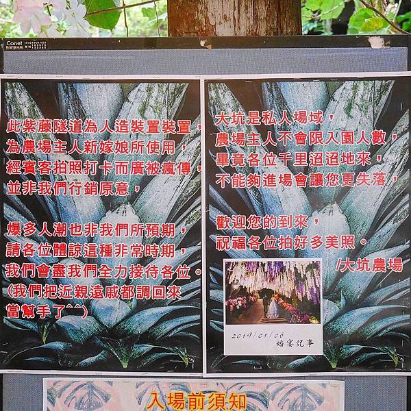 S__4685831.jpg S__4685831.jpg