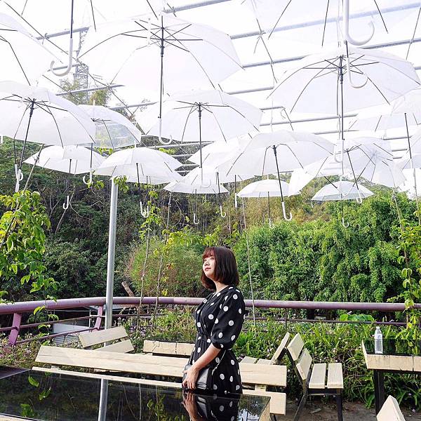 S__4685838.jpg S__4685838.jpg