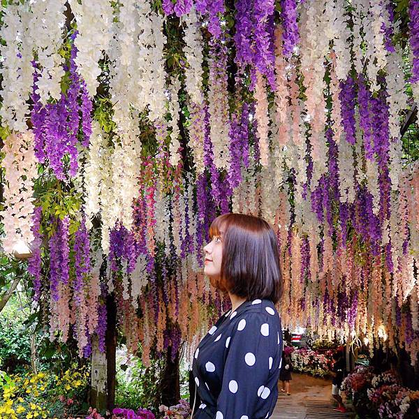 S__4685839.jpg S__4685839.jpg