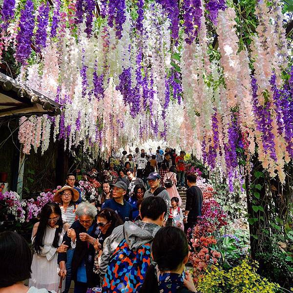 S__4685841.jpg S__4685841.jpg