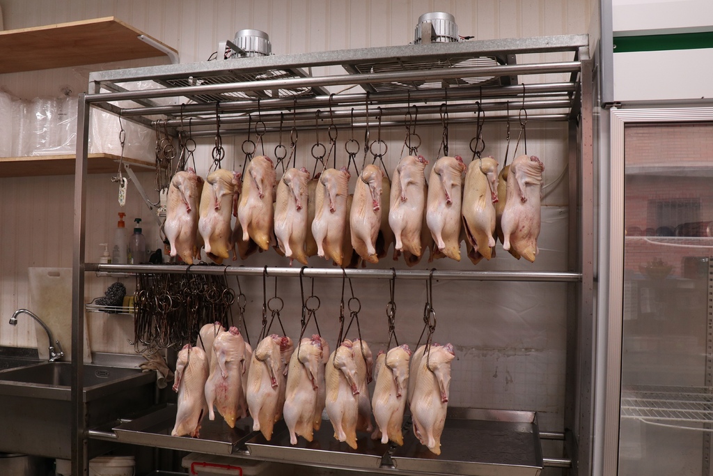 4ED9203E-A5BA-4883-9BC1-1D3A6A226BD5.JPG 4ED9203E-A5BA-4883-9BC1-1D3A6A226BD5.JPG