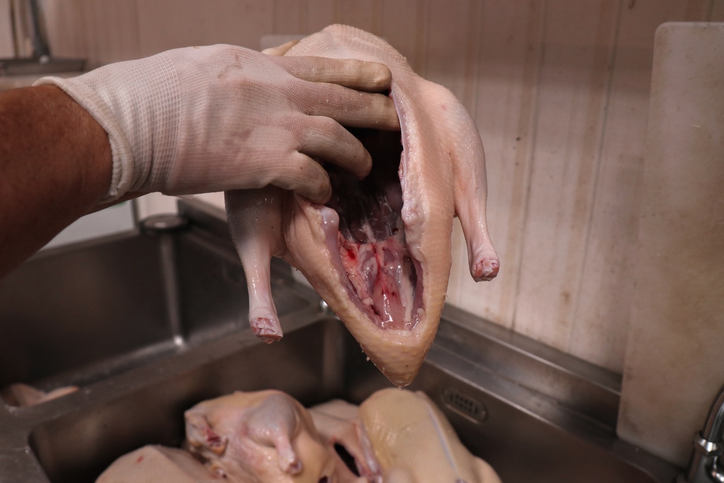 2D472142-6E24-4B44-A45A-59F070400680.JPG 2D472142-6E24-4B44-A45A-59F070400680.JPG