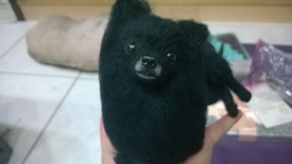 WP_20150709_19_23_11_Pro WP_20150709_19_23_11_Pro