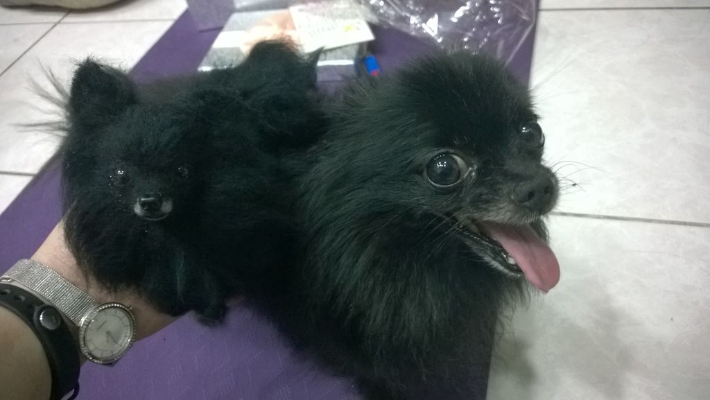 WP_20150709_19_25_21_Pro WP_20150709_19_25_21_Pro