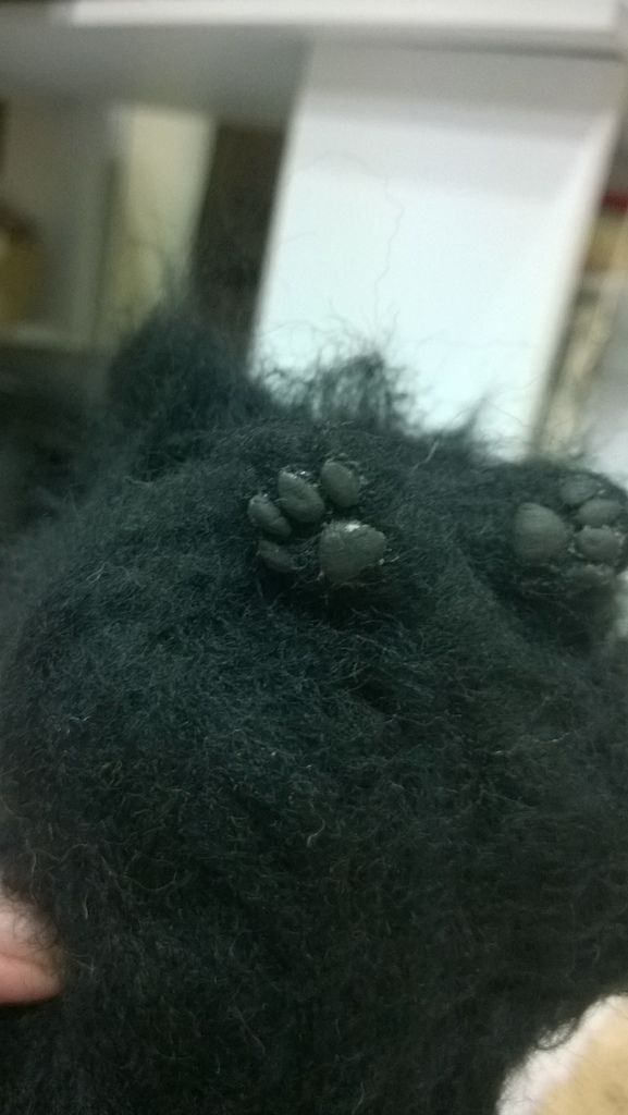 WP_20150709_19_24_53_Pro WP_20150709_19_24_53_Pro