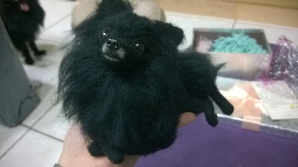 WP_20150709_19_24_07_Pro WP_20150709_19_24_07_Pro