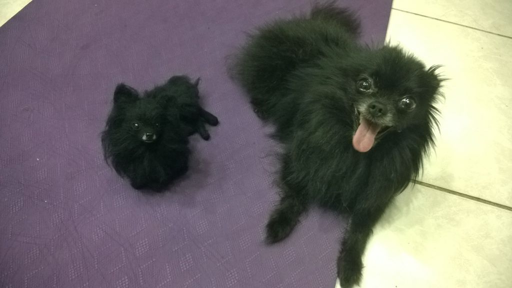 WP_20150709_19_27_11_Pro WP_20150709_19_27_11_Pro