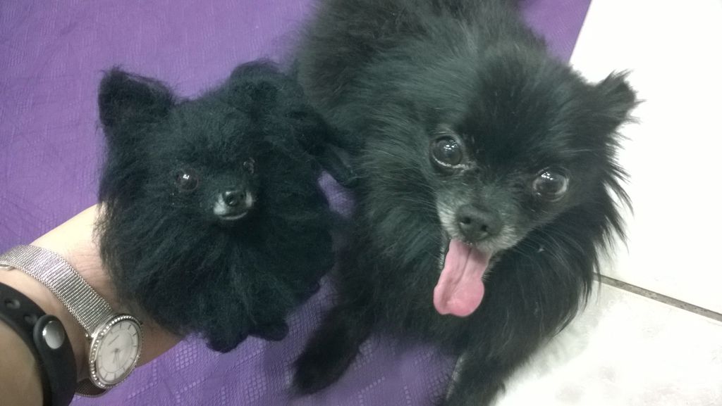 WP_20150709_19_27_26_Pro