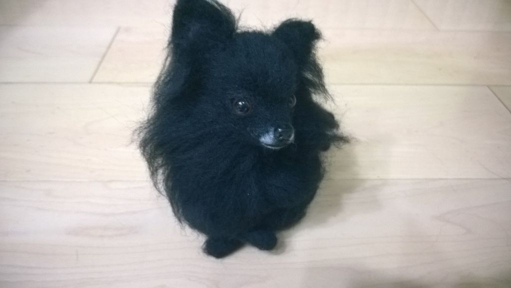 WP_20150709_19_46_29_Pro WP_20150709_19_46_29_Pro