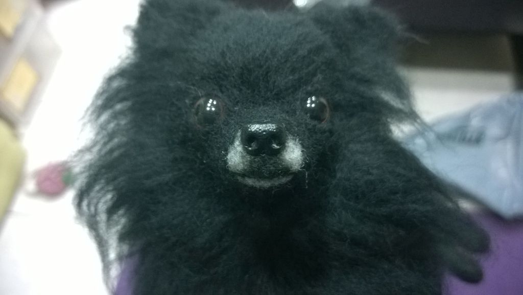 WP_20150709_19_45_58_Pro WP_20150709_19_45_58_Pro