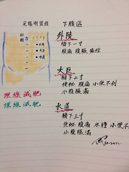 埋線減肥穴位 埋線減肥穴位