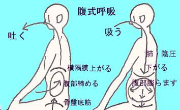 夏日減肥 士林減肥 台北減重 夏日減肥 士林減肥 台北減重
