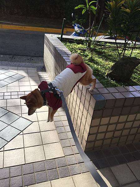 IMG_4534.JPG IMG_4534.JPG