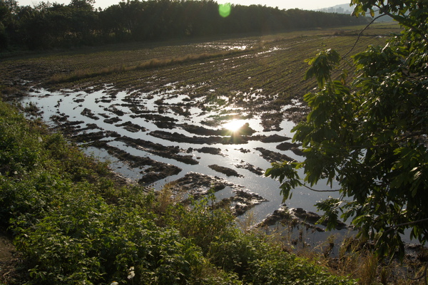 DSC01091.JPG DSC01091.JPG