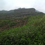 DSC00172.JPG DSC00172.JPG
