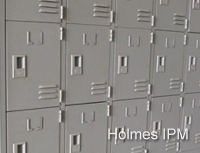 Holmes_263.png Holmes_263.png