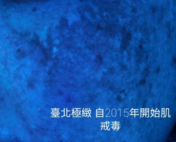 20210316 (12).jpg 20210316 (12).jpg