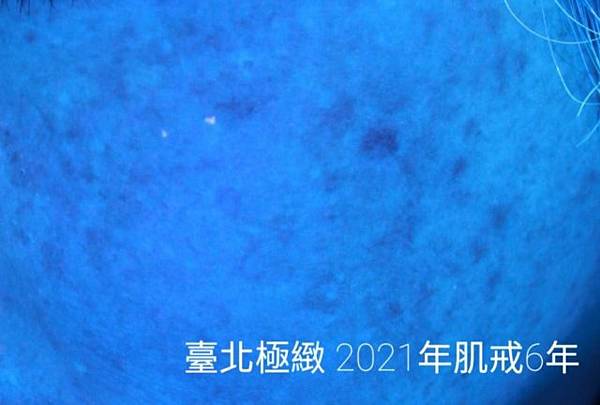 20210316 (13).jpg 20210316 (13).jpg