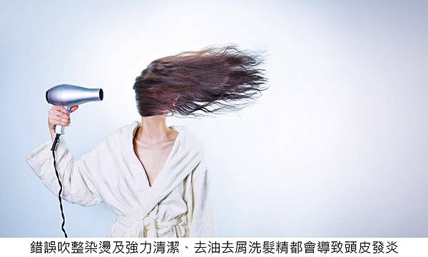 20230310 (3).JPG 20230310 (3).JPG