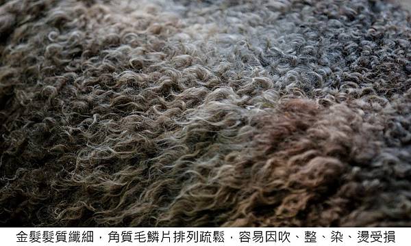 20230321 (3).JPG 20230321 (3).JPG