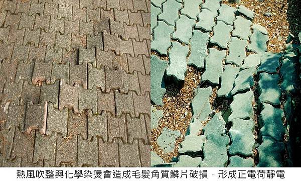 20230321 (4).JPG 20230321 (4).JPG