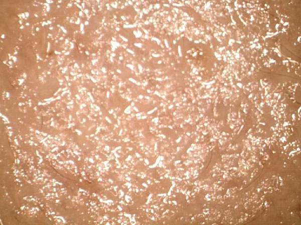 陳鋆澤2023-11-20B_b5.jpg 陳鋆澤2023-11-20B_b5.jpg