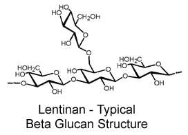 structure2.gif