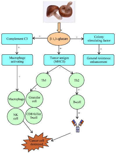 fig3-2k14-90-108.jpg fig3-2k14-90-108.jpg