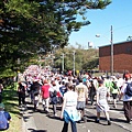 city2surf 033