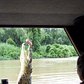 Kakadu011.JPG