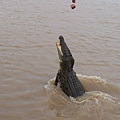 Kakadu022.JPG