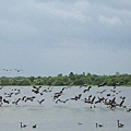 Kakadu034.JPG