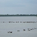 Kakadu035.JPG