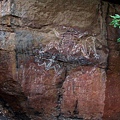 Kakadu086.JPG