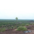 Kakadu097.JPG