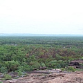 Kakadu103.JPG