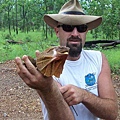 Kakadu113.JPG