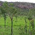 Kakadu136.JPG