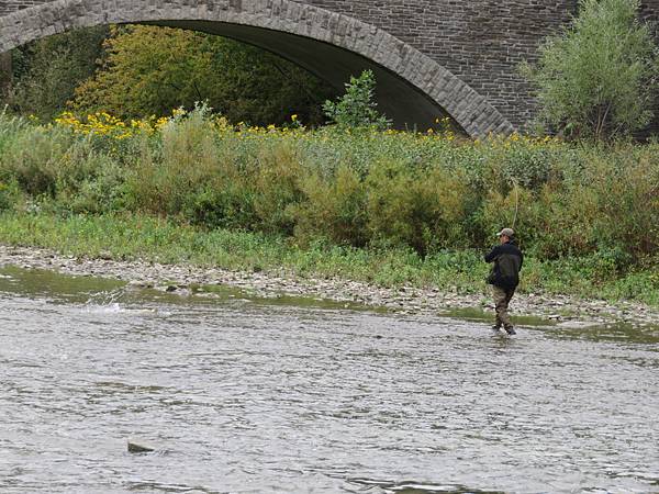 IMG_6338.JPG IMG_6338.JPG