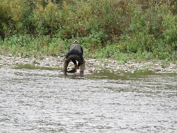 IMG_6339.JPG IMG_6339.JPG