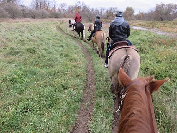 IMG_6490.JPG IMG_6490.JPG